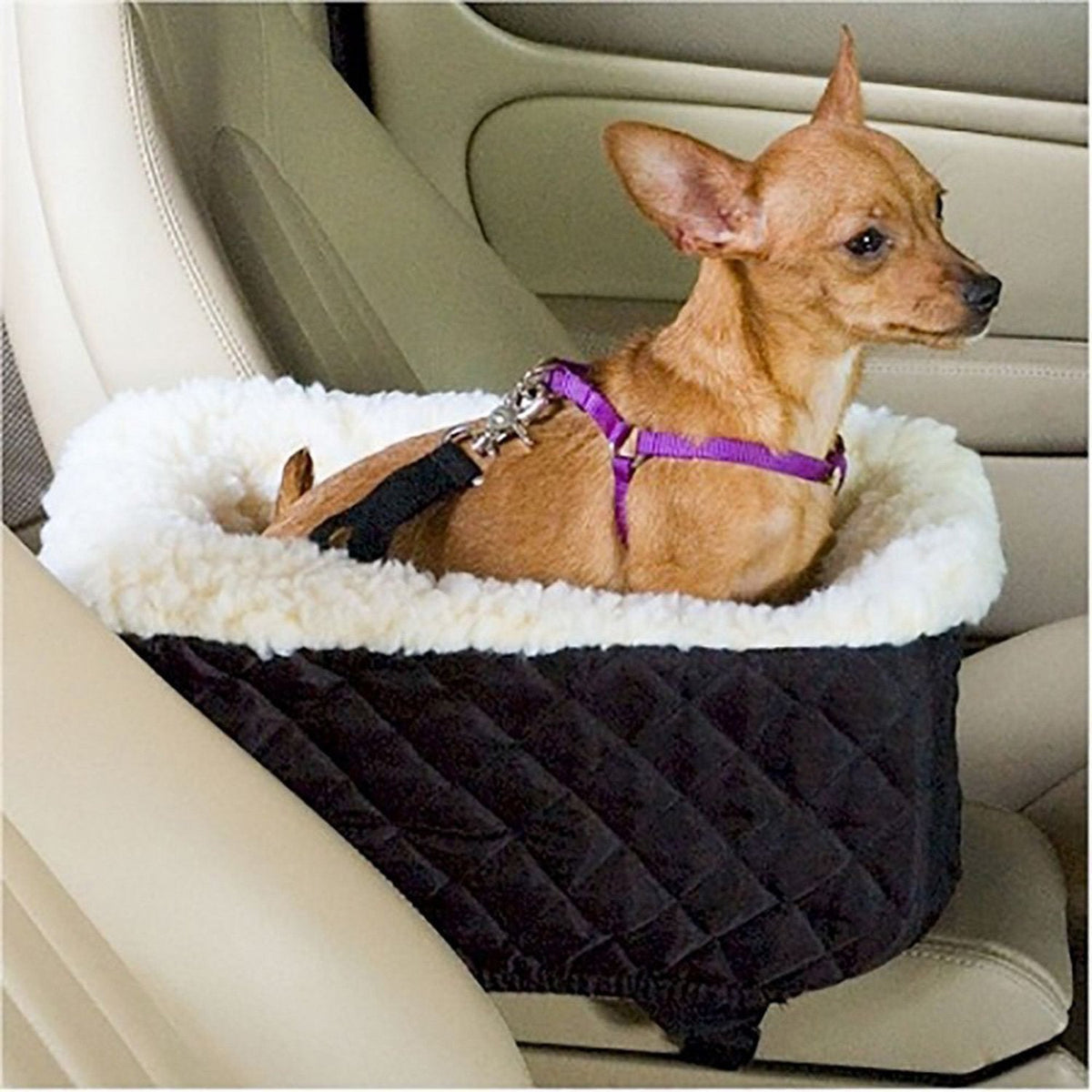 Essential Pet Supplies Every New Dog Owner Needs