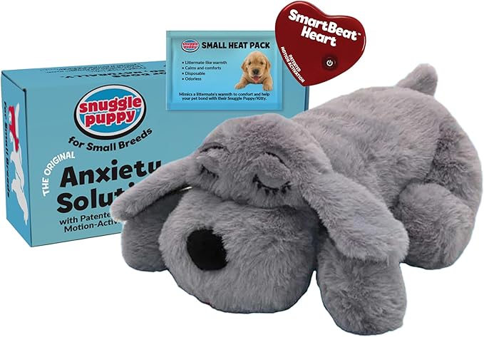 Best Dog Toys for Aggressive Chewers in 2025
