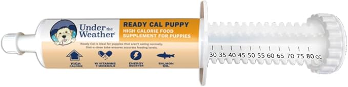 Pet | Ready Cal for Puppy | High Calorie Pet Nutritional Supplement for Weight Gain & Healthy Weight Maintenance | 10 Vitamins, 7 Minerals, Omega Fatty Acids & Carbohydrates | 80cc
