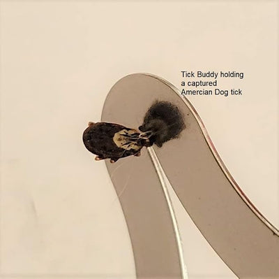 Tick Buddy (1-Pack) Stainless Steel Tick Removal Tool for Dogs Cats Pets and People | pet-tick-removers