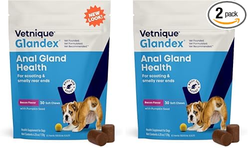 Glandex Anal Gland Soft Chew Treats with Pumpkin for Dogs Digestive Enzymes, Probiotics Fiber Supplement for Dogs Boot The Scoot (Bacon Flavor Chews, 30 Count) (Pack of 2)