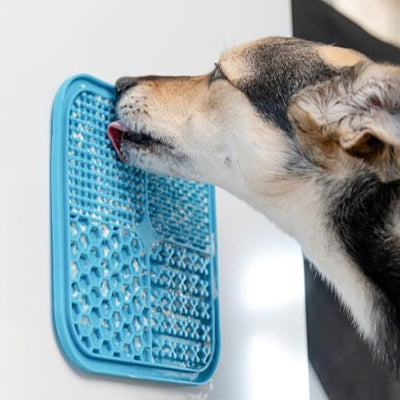 BoneItUp 3-in-1 Dog Activity Kit - Homemade Dog Treats Kit, Puzzle Toy and Lick Mat for Dogs - Brain Stimulation, Enrichment, Calming, Slow Feeding - Healthy Treats and Busy Toys for Dogs and Puppies