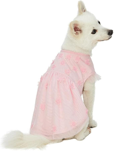 Blueberry Pet My Little Princess Dog Tulle Dress in Baby Pink with Dainty Flower, Back Length 10", Pack of 1 Clothes for Dogs