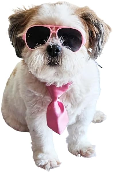 C26 Dog Pet Costume Set Retro Sunglasses + Tie Adjustable for Small Dogs up to 15 lbs Party Prop Cosplay Photoshoot (Aviator Pink Sunglasses +Pink Tie)