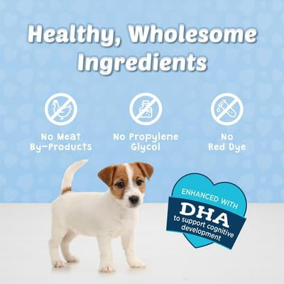 Blue Buffalo Bits Soft Dog Treats for Training, Made with Natural Ingredients & Enhanced with DHA, Turkey Recipe, 4-oz Bag (Pack of 6)