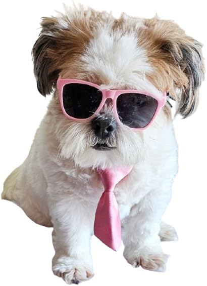 C26 Dog Pet Costume Set Retro Sunglasses + Tie Adjustable for Small Dogs up to 15 lbs Party Prop Cosplay Photoshoot (80s Pink Sunglasses +Pink Tie)