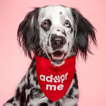 Adopt Me Dog Bandana | 100% Cotton Triangle | Adjustable for Dogs Adoption Event Prop Photoshoot | Green One Size (326)