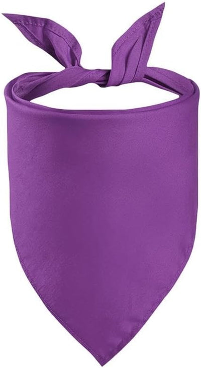Petitebella Purple Small Polyester Pet Bandana for Dogs and Cats