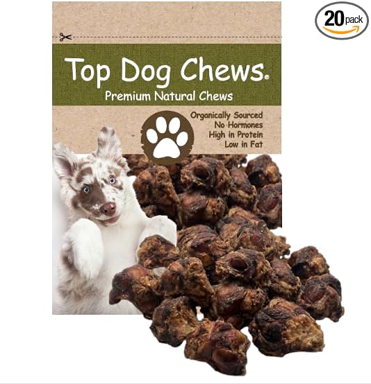 Knee Caps, 20 Count, Dog Beef Chew Bones, Long Lasting Treats for Aggressive Chewers, Perfect for Large, Medium, or Small Dogs, Made in USA