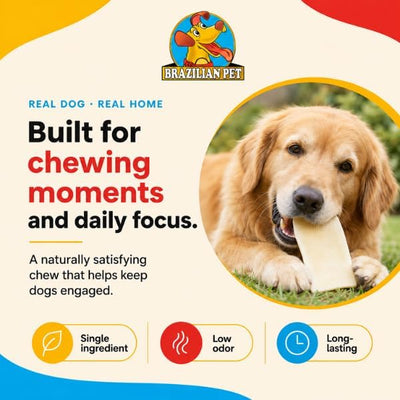 Brazilian Pet Premium Thick Cut Chips, Wholegrain Rawhide (Last Much Longer Than Traditional Chips). 100% Natural. Great Behavioral Dog Chew Treat Solution. No Preservatives. (5 Pounds)
