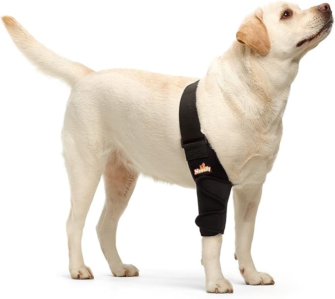Dog Elbow Brace Protector Pads for Canine Elbow and Shoulder Support Elbow Hygroma, Dysplasia, Osteoarthritis, Elbow Calluses, Pressure Sores and Shoulder Dislocation (Right Leg, Extra Small)