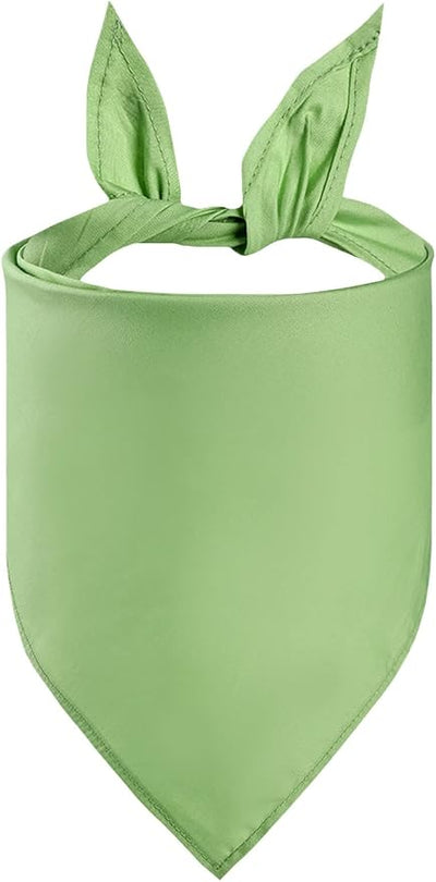 Petitebella Single Color Pet Bandana (Green, Large)
