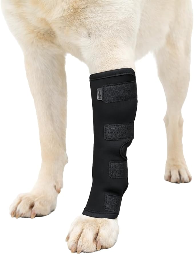 Long Front Leg Brace for Dogs – Anti-Lick Sleeve & Carpal/Wrist Support for Sprains, Arthritis, Wound Protection & Injury Recovery – Soft Adjustable Compression Wrap for Left or Right Front Leg X-L