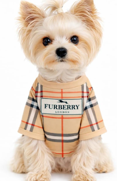 Luxury Designer Dog T Shirt – Trendy Puppy Clothes for Small Dogs, Fashion Pet Tee for French Bulldogs & Chihuahuas, Everything Chic Dog Apparel (FurberryTee, Large)