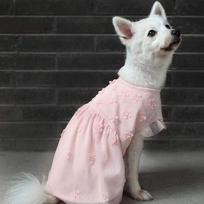 Blueberry Pet My Little Princess Dog Tulle Dress in Baby Pink with Dainty Flower, Back Length 10", Pack of 1 Clothes for Dogs