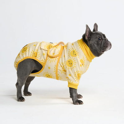 Spark Paws Dog Surgery Recovery Suit – Dog Recovery Suit After Surgery, Anti-Lick Dog Onesie, Abdominal Wound Protector, Soft Cone Alternative for Spay Neuter Male Female Pet Recovery - Sunshine - L