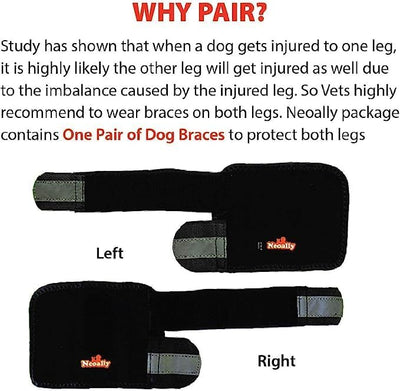 NeoAlly - Front Leg Brace for Dogs and Cats, Dog Leg Brace for Improved Pet Mobility, Dog Leg Sleeve for Carpal Support, Dog Leg Sleeve with Reflective Straps, Small to Medium, Black, 1 Pair
