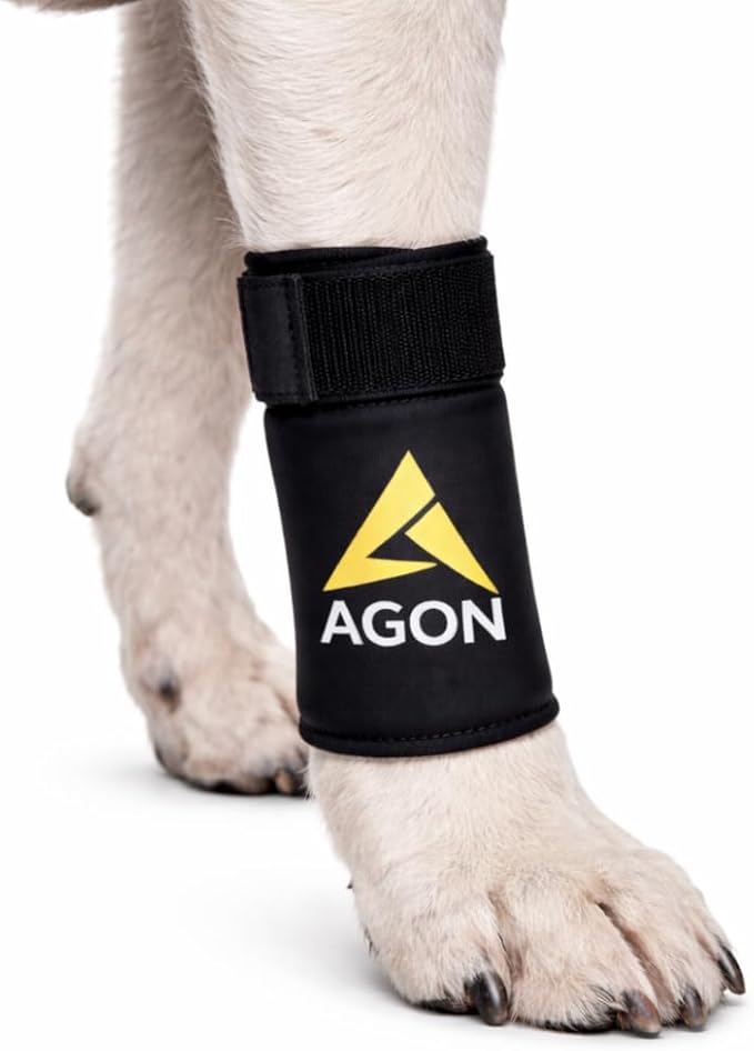 Dog Canine Front Leg Brace Paw Compression Wraps with Protects Wounds Brace Heals and Prevents Injuries and Sprains Helps with Loss of Stability Caused by Arthritis (Small/Medium)