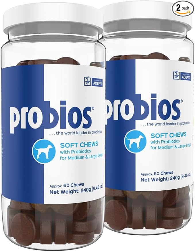 for Dogs Soft Chews, Daily Probiotic Supplement for Gut Health, Digestion and Immune Support Medium and Large Breeds, Chicken Liver Flavor, 8.46oz 60 Chews (Pack of 2)