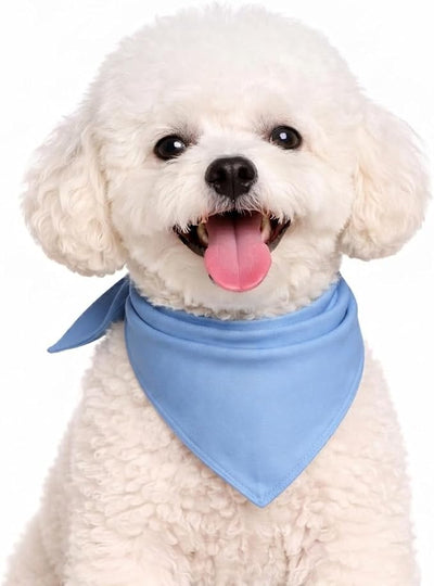 Petitebella Single Color Pet Bandana (Blue, Medium)