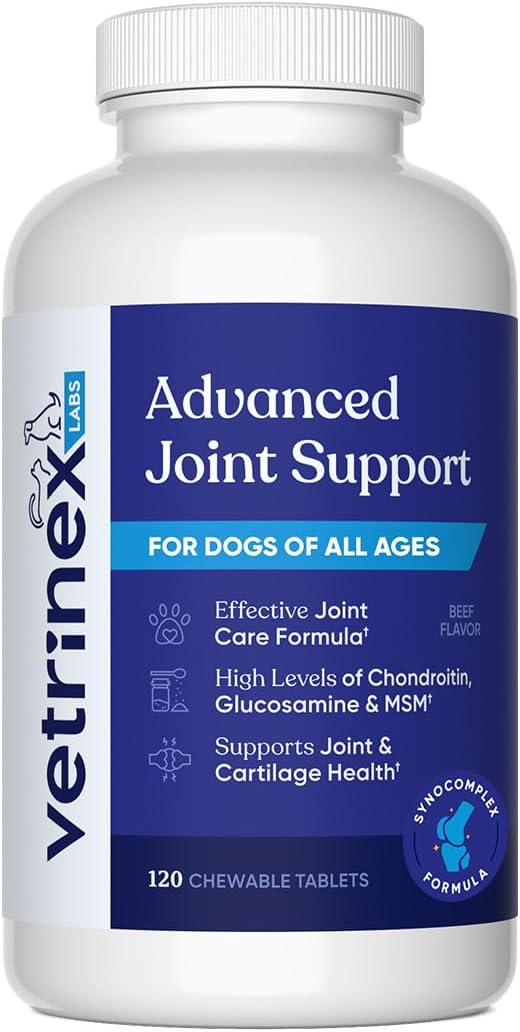 Joint Support Supplement for Large Dogs - Hip and Joint Chewable Tablets for Small, Medium & Large Breed Dogs with Glucosamine, Chondroitin, and MSM, Beef Flavor, 120 Tablets