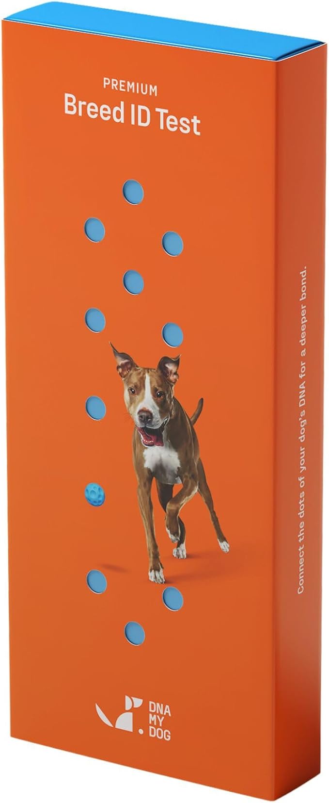 Premium Dog DNA Test – Identify 350+ Breeds | Genetic Health & Trait Screening | Wolf DNA & Genetic Age | Easy At-Home Cheek Swab