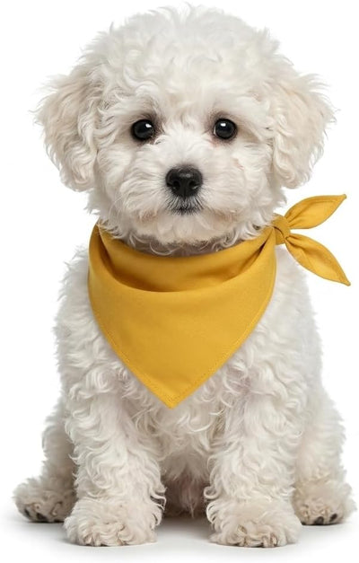 Petitebella Single Color Pet Bandana (Yellow, Medium)
