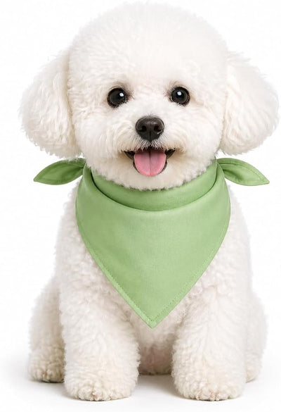 Petitebella Single Color Pet Bandana (Green, Large)