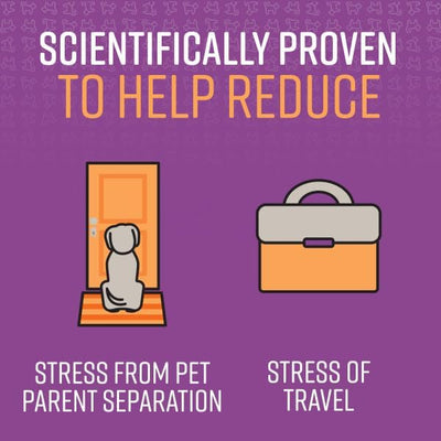 Sentry PET Care Sentry Calming Spray for Dogs, Uses Pheromones to Reduce Response to Normal Stress, Easy Spray Application, Helps Dogs with Separation, Travel, Loud Noises