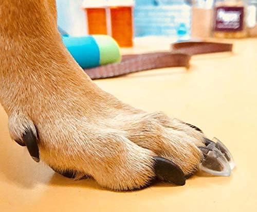 TAKTIKAL Dr. McHenry's Dog Toe Treads Set of 24, Adhesive, Cleaning Brush, Senior Dog Traction Mobility Support, Small Kit- Weight: 8-16 lbs. Net Weight 1.6 oz.