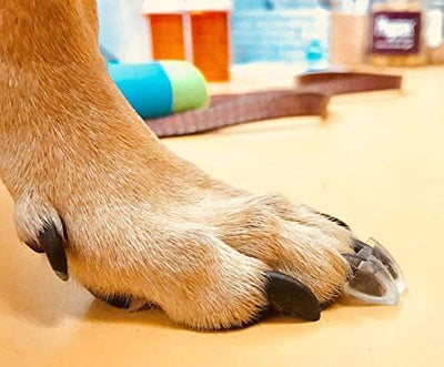 TAKTIKAL Dr. McHenry's Dog Toe Treads Set of 24, Adhesive, Cleaning Brush, Senior Dog Traction Mobility Support, Small Kit- Weight: 8-16 lbs. Net Weight 1.6 oz.