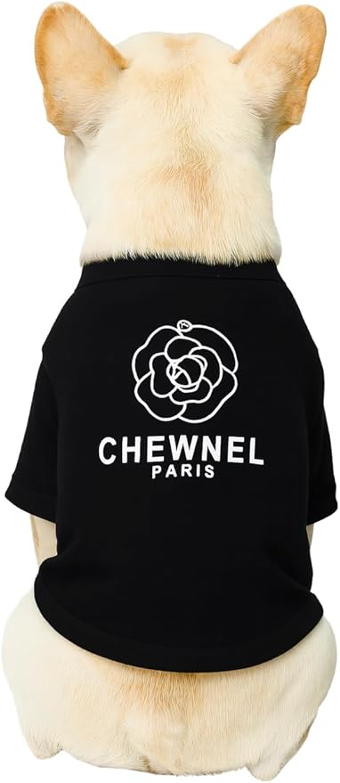 Luxury Designer Dog T Shirt – Cute Puppy Clothes for Small Dogs, Fashion Pet Tee Outfit for French Bulldogs & Chihuahuas, Everything Chic Dog Apparel
