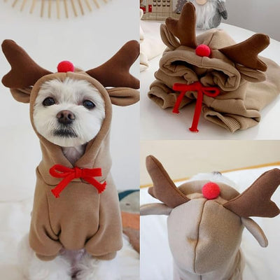 Warm Dog Winter Clothes Cute Fruit Dog Coat Hoodies Fleece Pet Dogs Costume Jacket for French Bulldog Chihuahua Ropa para Perro(Coffee,XS)