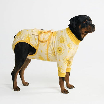 Spark Paws Dog Surgery Recovery Suit – Dog Recovery Suit After Surgery, Anti-Lick Dog Onesie, Abdominal Wound Protector, Soft Cone Alternative for Spay Neuter Male Female Pet Recovery - Sunshine - 5XL