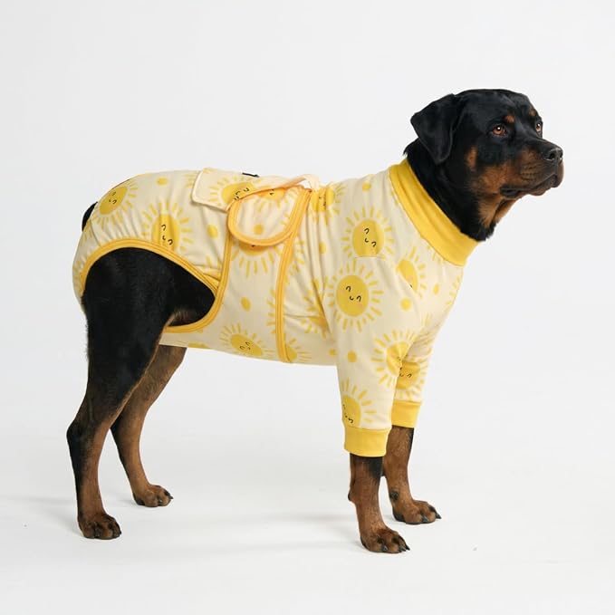 Spark Paws Dog Surgery Recovery Suit – Dog Recovery Suit After Surgery, Anti-Lick Dog Onesie, Abdominal Wound Protector, Soft Cone Alternative for Spay Neuter Male Female Pet Recovery- Sunshine - 4XL