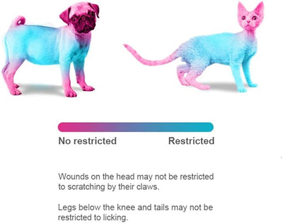 Adjustable Recovery Collar - Protective Pet Cone for Wound Healing, Soft Edge for Cats, Kittens & Small Dogs