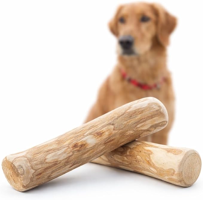 Coffee Wood Dog Chew - Natural Stick for Moderate Chewers, Safe Alternative to Nylon & Plastic, Extra Large