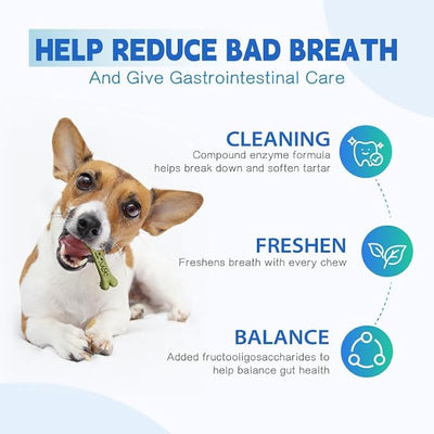 Dr.vet Dog Dental Chews, Dog Dental Sticks for Plaque and Tartar Remover for Dogs, Dog Breath Freshener and Teeth Cleaning Treats, Rawhide Free Dog Chews for Small Breed Dog Treats, 100g (7 Sticks)