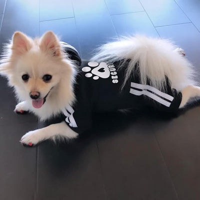 Dog Hoodie Security Clothes 4 Legs Jumpsuit Sweatshirt Hoodies Soft & Warm Dog Outfit Pullover Dog Winter Clothes Sweater for Small Medium Large Dogs Cats (Black, Large)