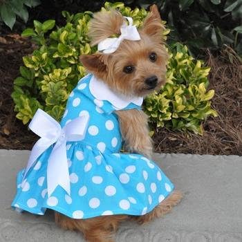 Blue Polka Dot Dress w/Leach & D-Ring (Medium)