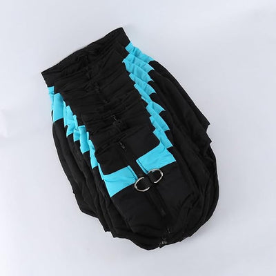 Winter Waterproof Windproof Dog Jacket - Warm Vest Coat for Small & Medium Dogs - Not Suitable for Big Dogs C-Blue Large