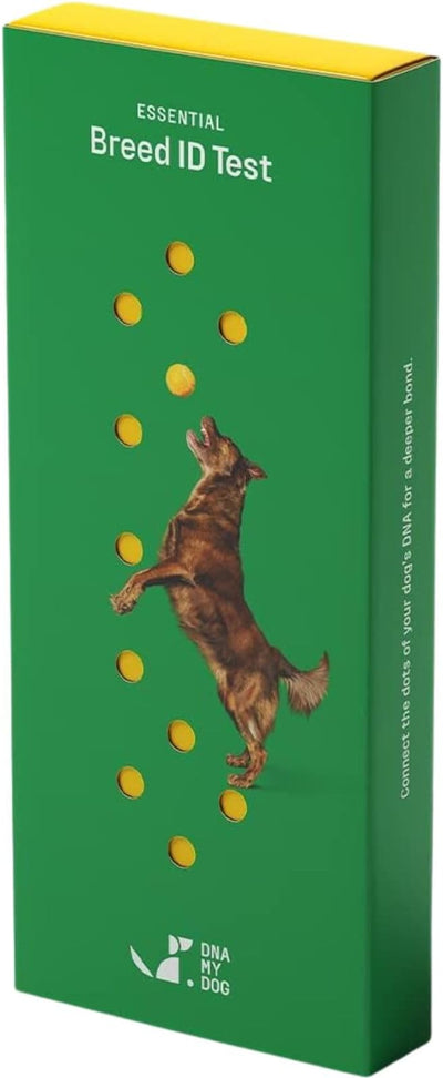 DNA MY DOG - Dog DNA Test Kit | 350+ Breeds Identified | 99%+ Accuracy | Allergy Risk Score | Personality & Behavior Insights | Results in 2-3 Weeks |