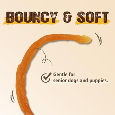 Gootoe Soft Turkey Tendon Strip 3oz, Natural Chewy Snack, USA-Sourced Turkey Tendon, Premium Training Chews, Hypoallergenic, Ideal for Small & Senior Dogs