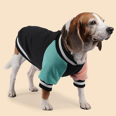 Cute Dog Sweater - Stretchy Dog Pullover Sweatshirt,Soft and Warm Winter Clothes for Boy & Girl Dogs,Suitable for Puppies & Adult Dogs (Black+Blue+Orange, X-Small)