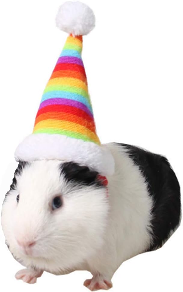 Christmas Hamster Hats Guinea Pig Costume Mini Santa Hat for Kitten Chinchilla Rabbit Bunny Hedgehog Ferret Squirrel Rats Duck Newborn Puppy…