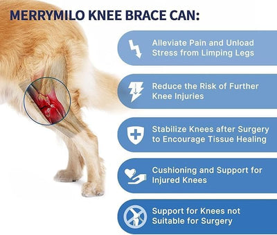 Dog Knee Brace for Torn ACL Hind Leg – Adjustable Canine ACL/CCL & Cruciate Ligament Support, Arthritis Pain Relief, Durable Stabilizer Wrap, Black, M