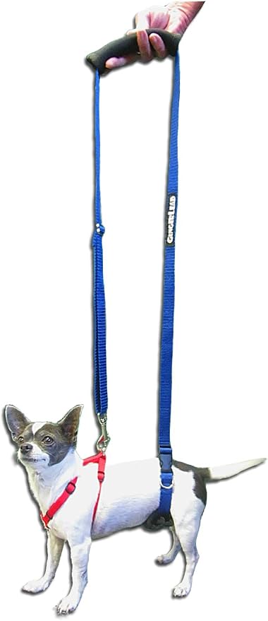 GINGERLEAD Dog Support Sling Harness, X-Small Fits Pets Under 25 lbs or Male Dachshunds with IVDD, Spinal Disc Disease, or Back Injuries. Assist Old or Arthritic Pets. Chest Harness not Included.