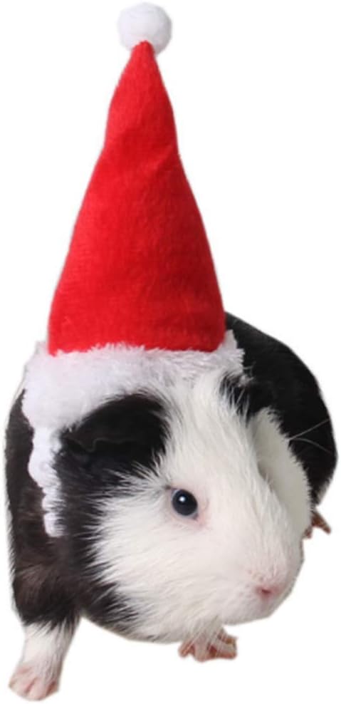Christmas Hamster Hats Guinea Pig Costume Mini Santa Hat for Kitten Chinchilla Rabbit Bunny Hedgehog Ferret Squirrel Rats Duck Newborn Puppy…
