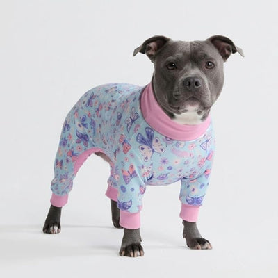 Spark Paws Dog Pajama, Dog Recovery Suit Male, Onesie, Ultra-Soft and 4-Way Stretch, for Small Medium and Large Breed - Butterfly Dreams - 3XL