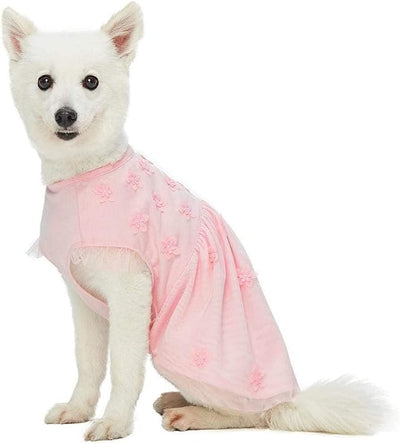 Blueberry Pet My Little Princess Dog Tulle Dress in Baby Pink with Dainty Flower, Back Length 10", Pack of 1 Clothes for Dogs